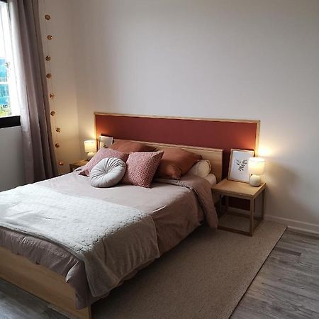 Appartement Avec Garage Proche Du Centre-Ville Труа Екстер'єр фото